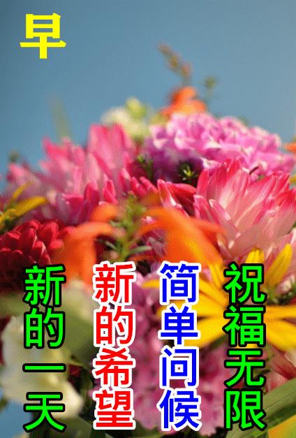 周末早安最漂亮问候图片带字,周三早安正能量图片带字