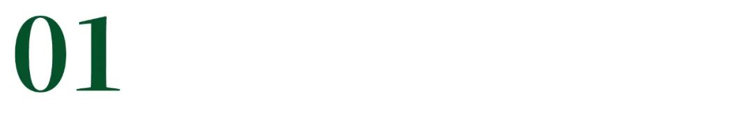 量子力学到底有多么的不可思议,量子力学到底是个什么样的存在