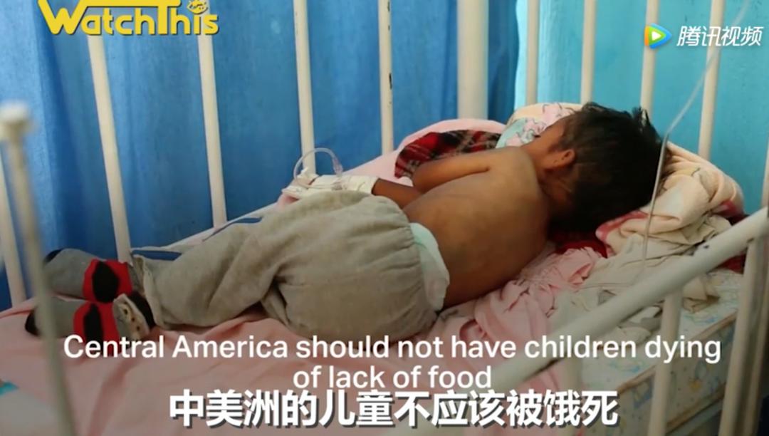 极端高温,灾难的开始…该如何拯救