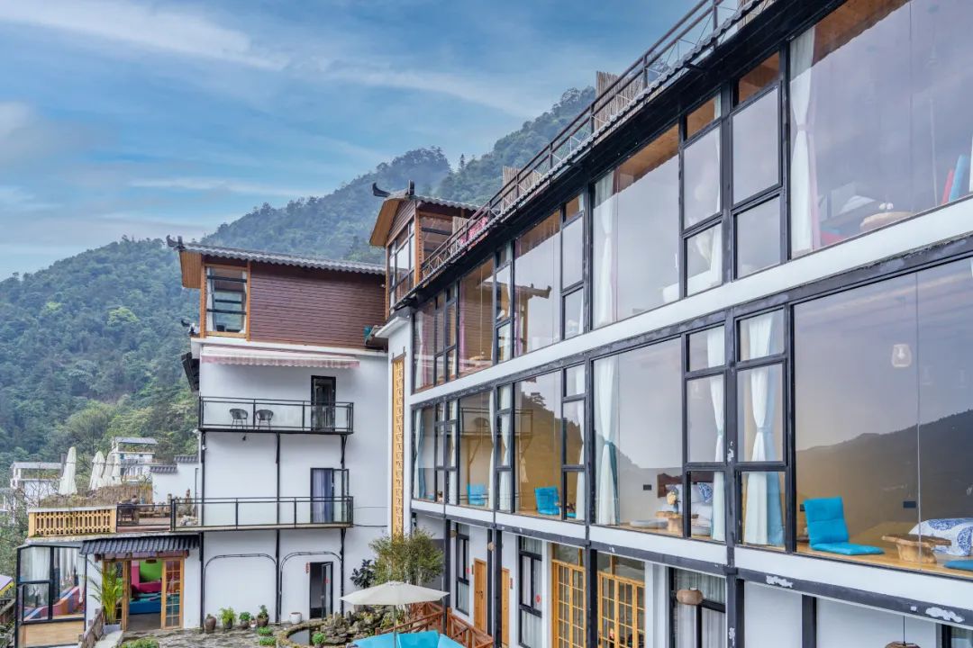 猫咪走太空步原视频最火,猫咪壁虎漫步视频