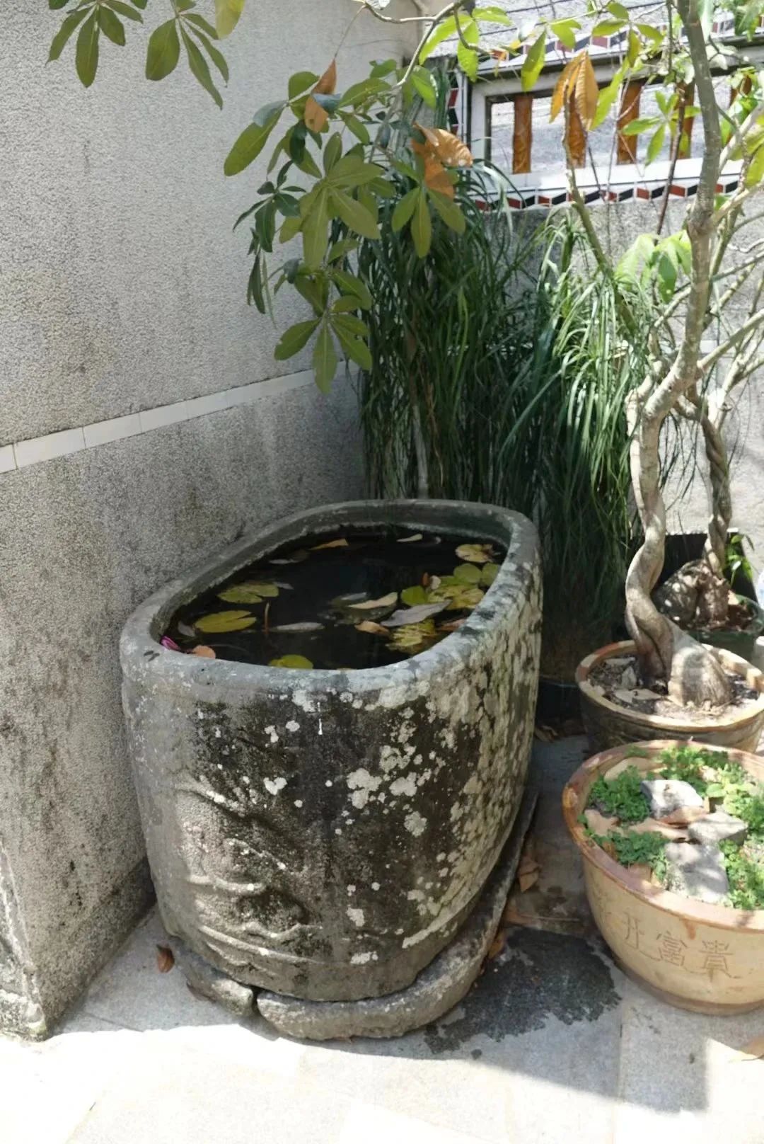 吴张一家互为嫁娶亲上亲——探花张岳崧后裔，琼海认亲访亲记