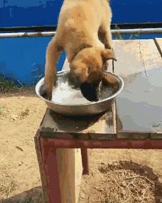 穿泳衣还可以穿内衣吗,穿泳衣和穿内衣有什么不同