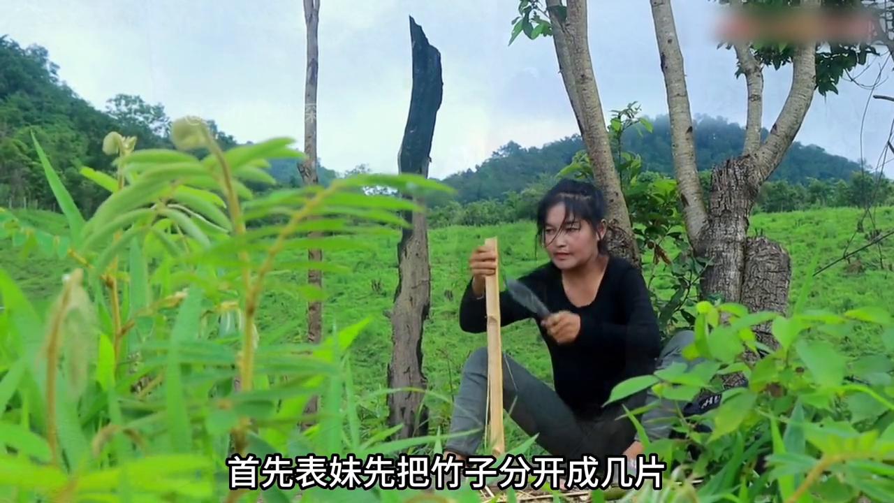 泰国美女制作陷阱,捕获野鸡和虎斑#国外合法狩猎