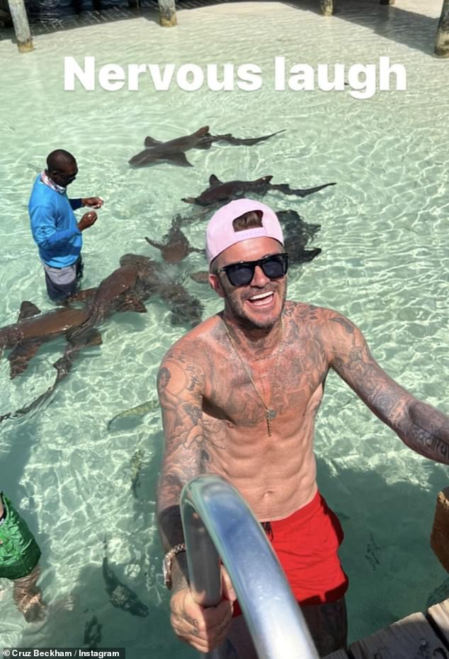 心目中最帅的球员,心目中最帅的明星