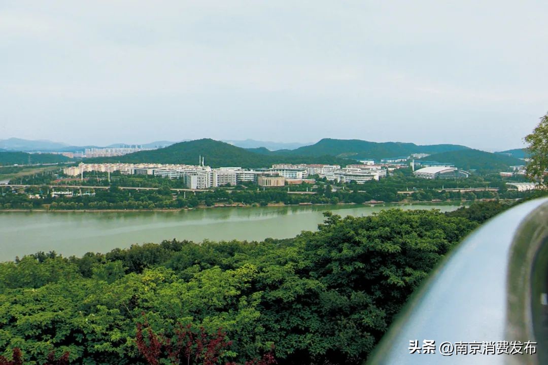 南京citywalk指南,南京12月份citywalk