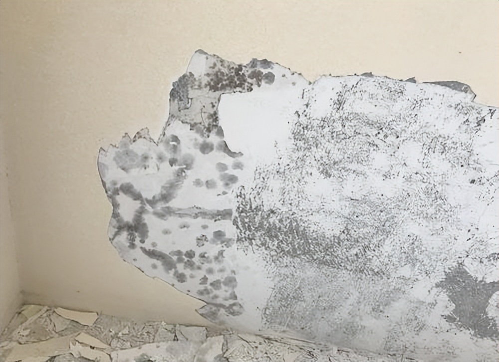 瓷砖上贴砖的利弊,墙体贴瓷砖好吗