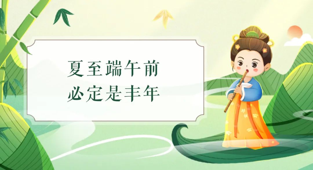 粽夏端午文案,粽叶香飘端午文案