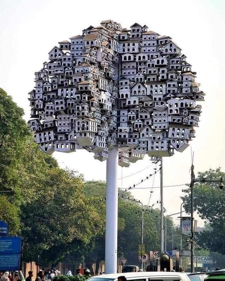 克林顿布什奥巴马合影,克林顿希拉里老照片