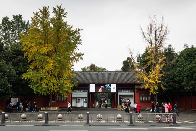 上海迪士尼乐园，打卡攻略全揭秘！别错过这些拍照点