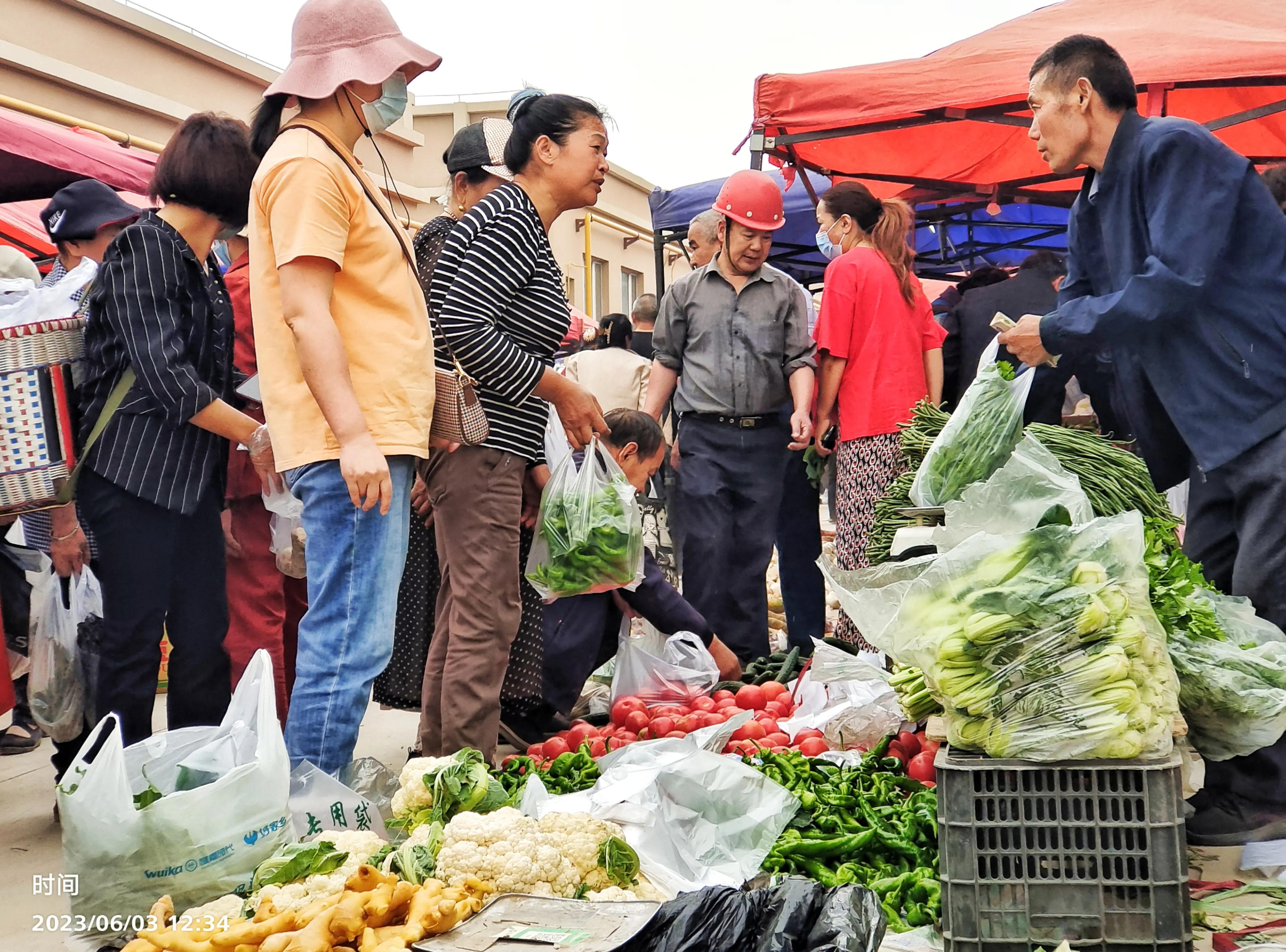 *疆新**温宿县家禽家畜养殖业成为当地农民增收致富的富民产业
