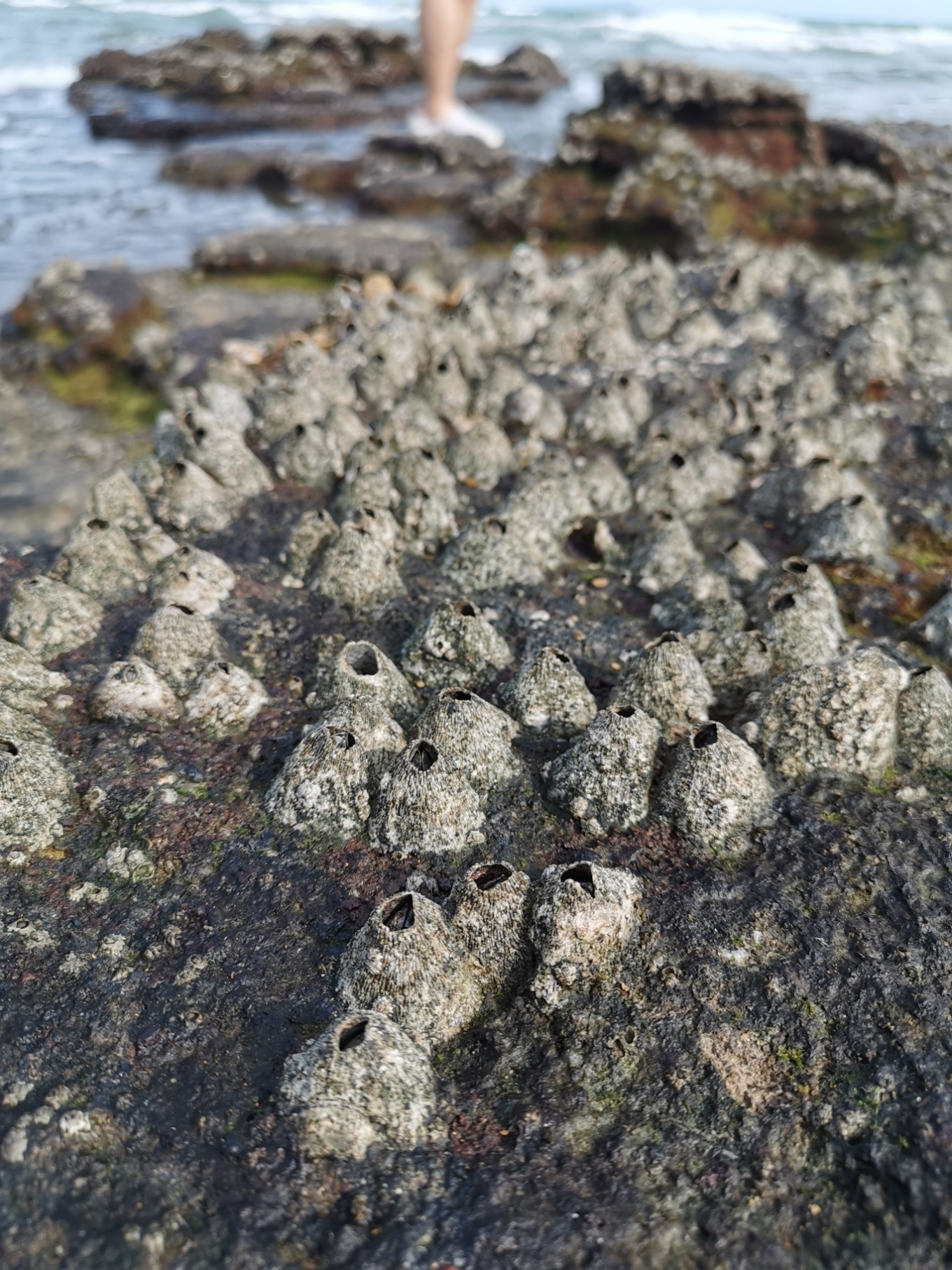 北海是一座令人向往的城市吗,北海是浪漫的城市