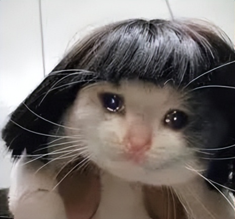 中国留学生在英国遭遇电信诈骗,中国留学生遇到韩国电信诈骗