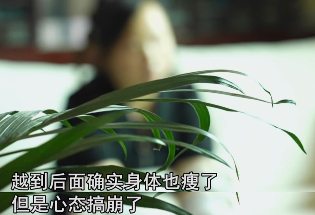 2017骞村叕瀹夌牬鑾峰噺鑲ヨ嵂妗堜欢,2020鍑忚偉鑽璀︽柟鏌ヨ幏