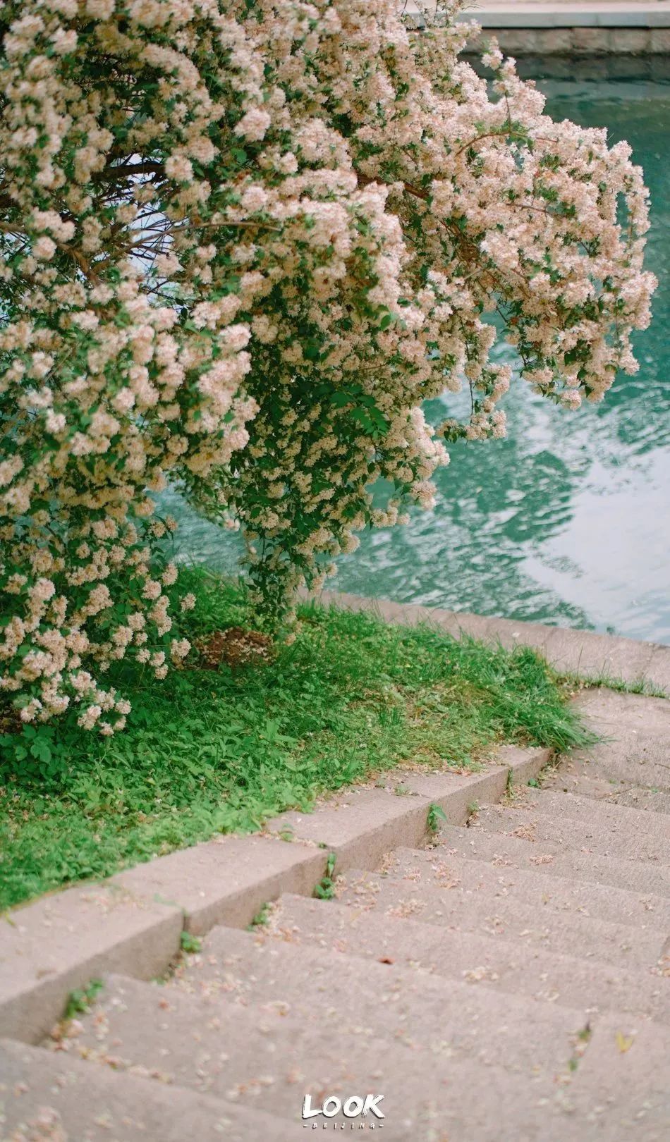 北京居庸关花海栈道,北京四季花海景区