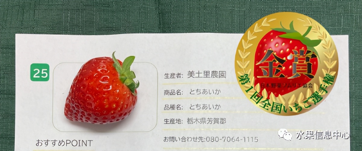 日本草莓评选大赛,排名第一的草莓品种是什么?
