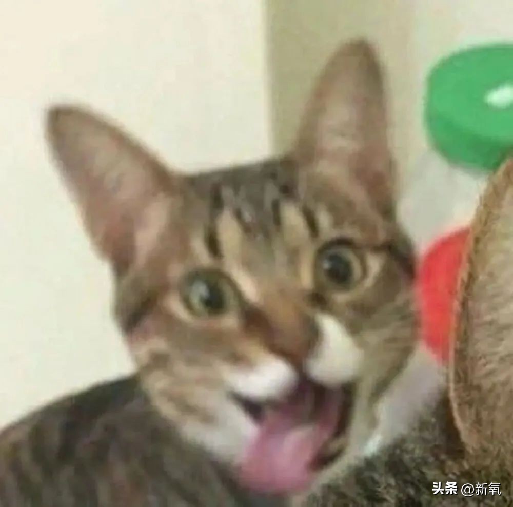 大长今冻龄女神李英爱,韩国李英爱年轻时图片