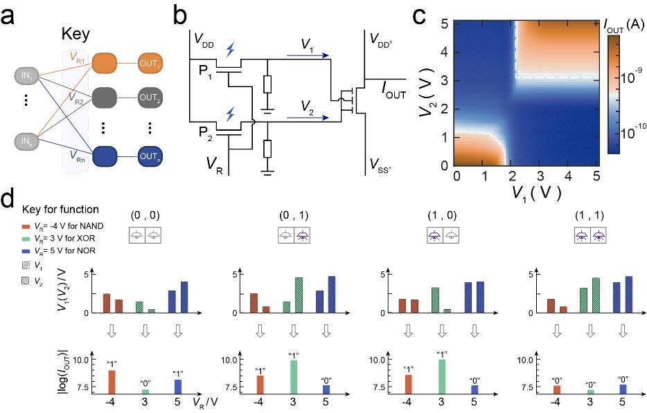 南大缪峰教授,缪峰南大