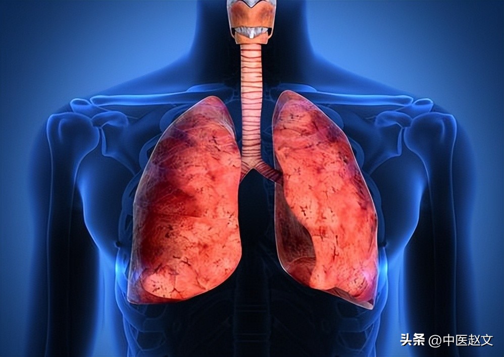 嗓子干痒，痛如刀割，老中医教你两味药泡水，滋阴清热、祛痰利咽