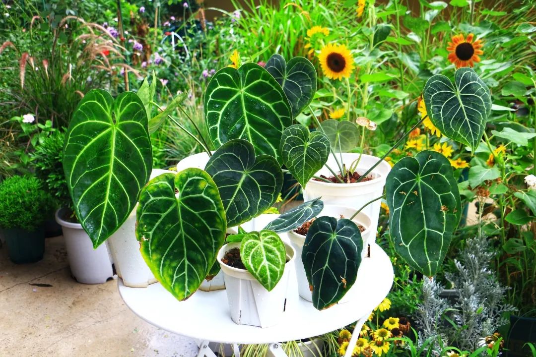 90后郑州房子装修,郑州没钱装修直接入住