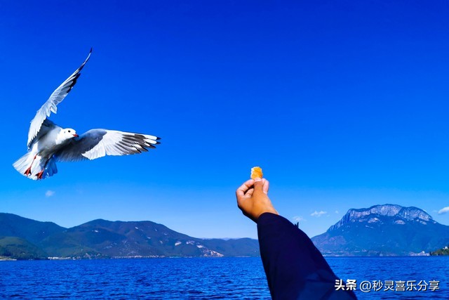 怎么缓解害怕死亡心理焦虑,死亡焦虑和死亡恐惧