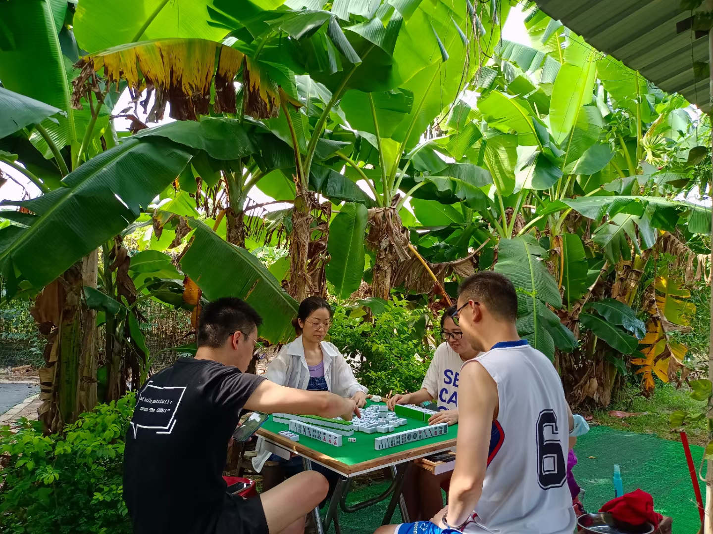 深圳哪里适合团建农家乐,深圳团建轰趴好去处