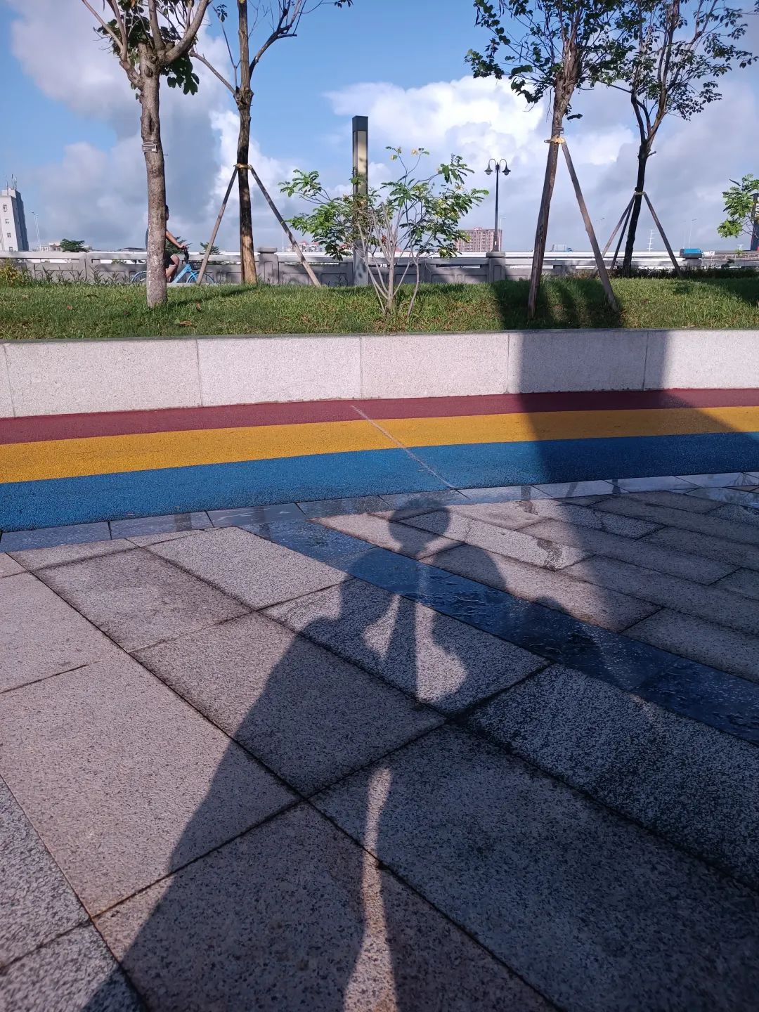 6月总结|安住在自己的生活里