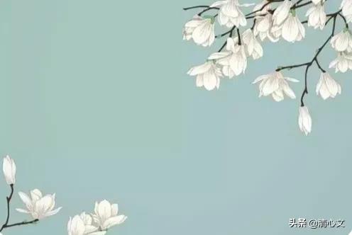 遮瑕化妆的正确步骤教程,夏天化妆的正确步骤顺序