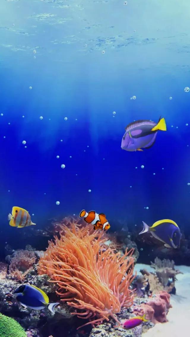 蓝色海景壁纸图片大全,海景壁纸4k超清全面屏