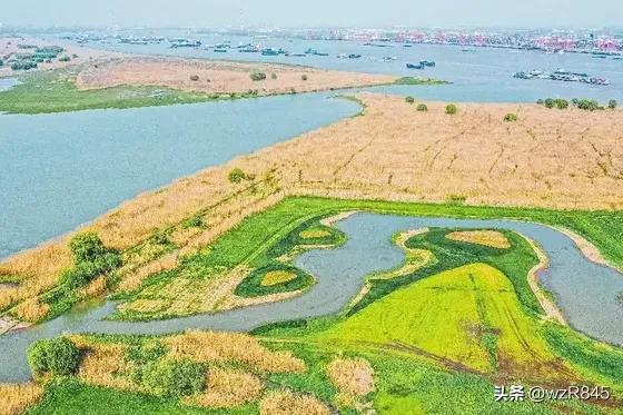 谈长三角和珠三角谁更胜一筹,长三角与珠三角城市相比还有谁