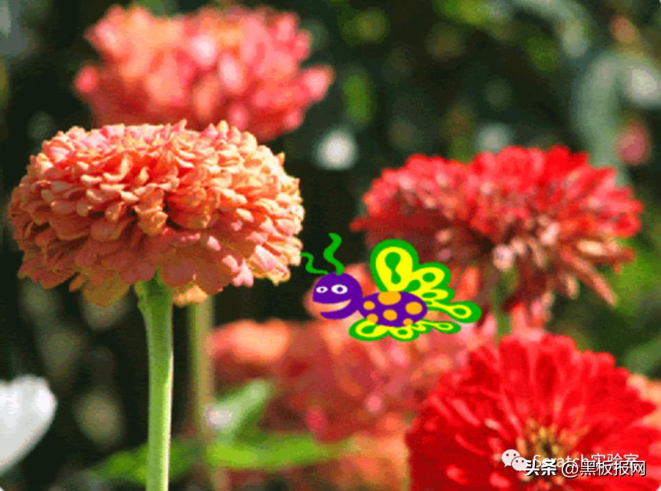 scratch编程考试多少分能过二级,scratch编程等级考试4级集训