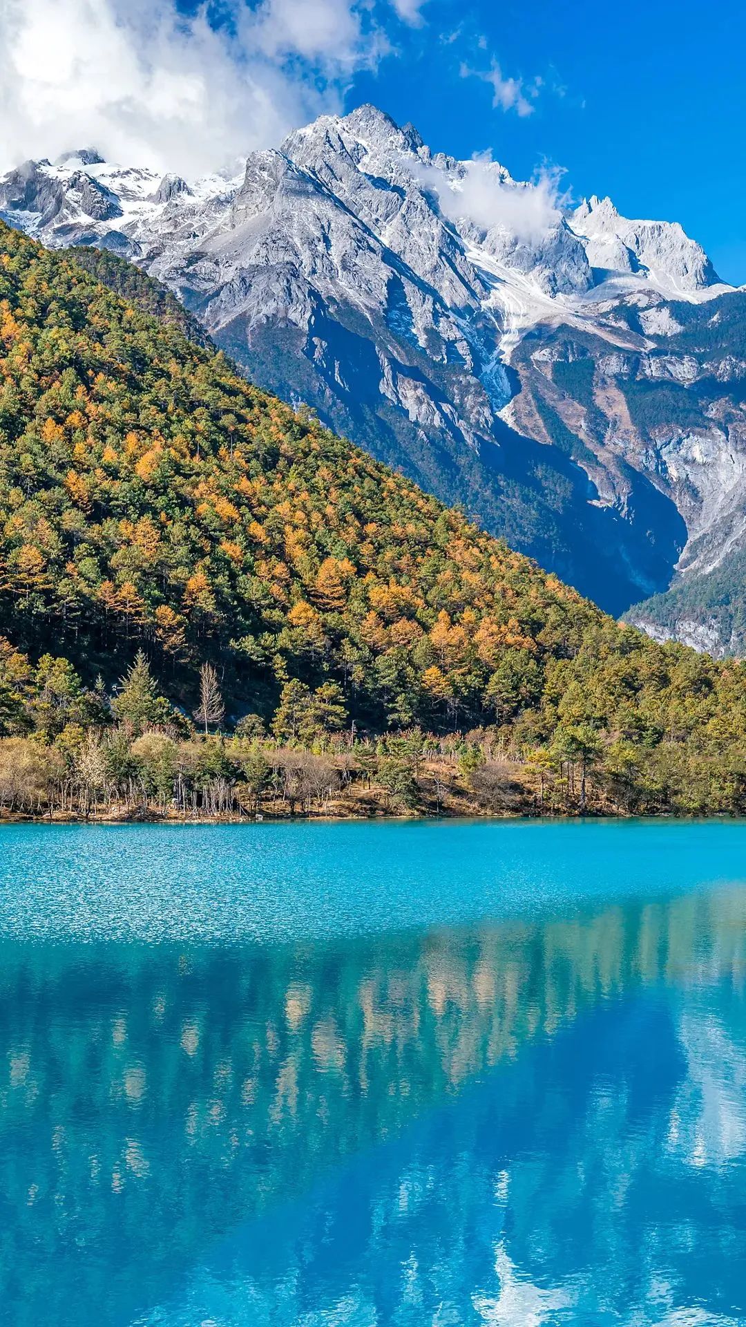 云南小曲清香型,云南小曲