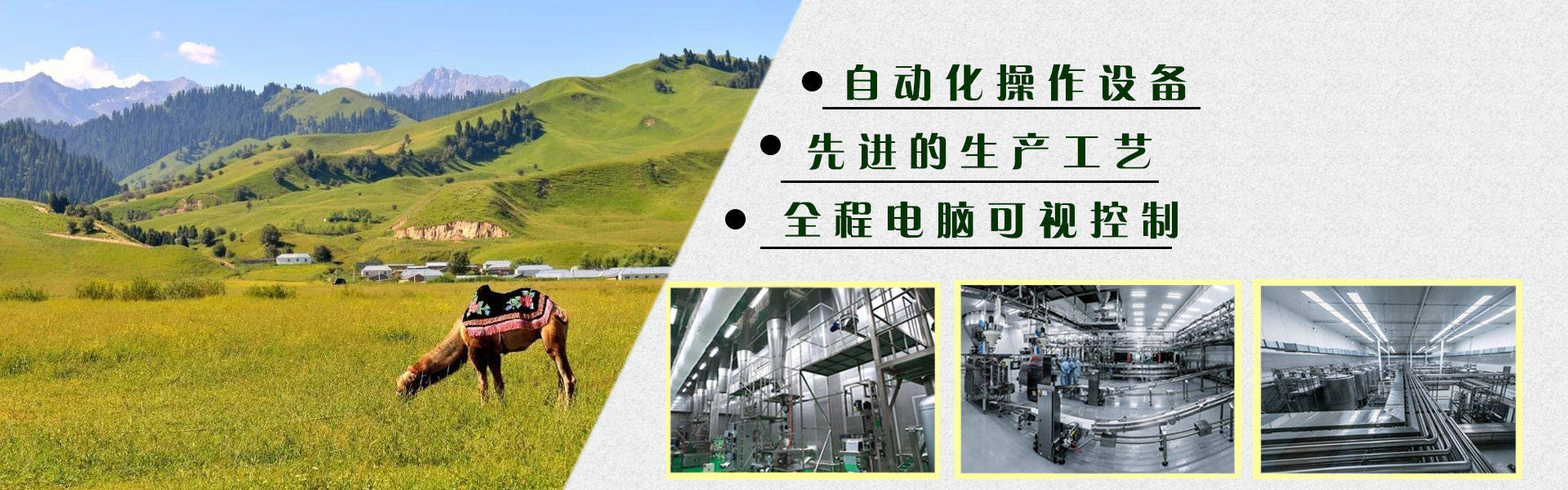 驼奶粉哪个品牌是正品内蒙驼奶粉,华夏丝路驼奶粉是正宗驼奶粉吗