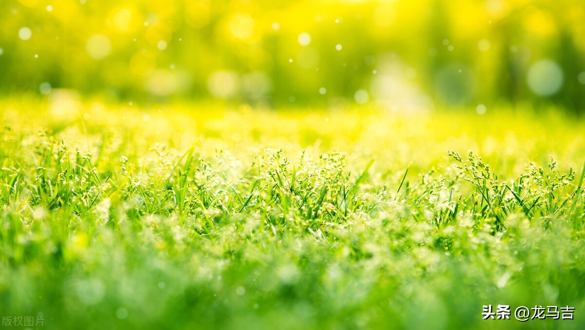 二月二龙抬头的诗词三十六首,二月二龙抬头古诗词赏析