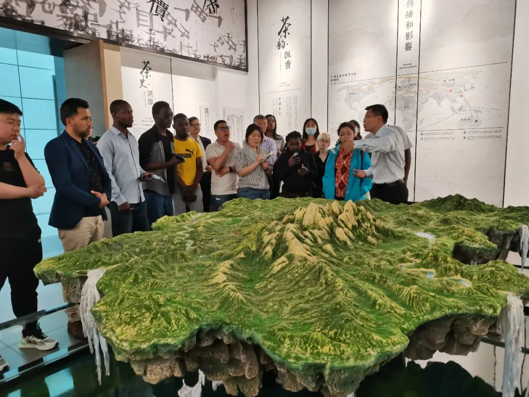 茶叶质量国际行业标准,茶叶国家质量标准最新