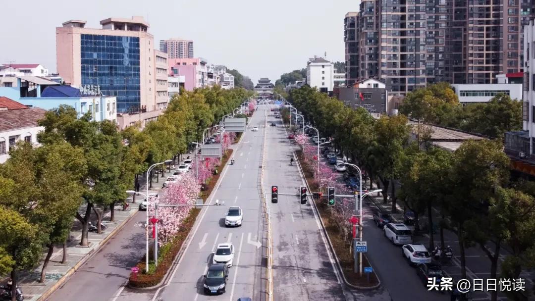 湖北荆州：石首“繁花”上大分↑即将刷爆朋友圈！
