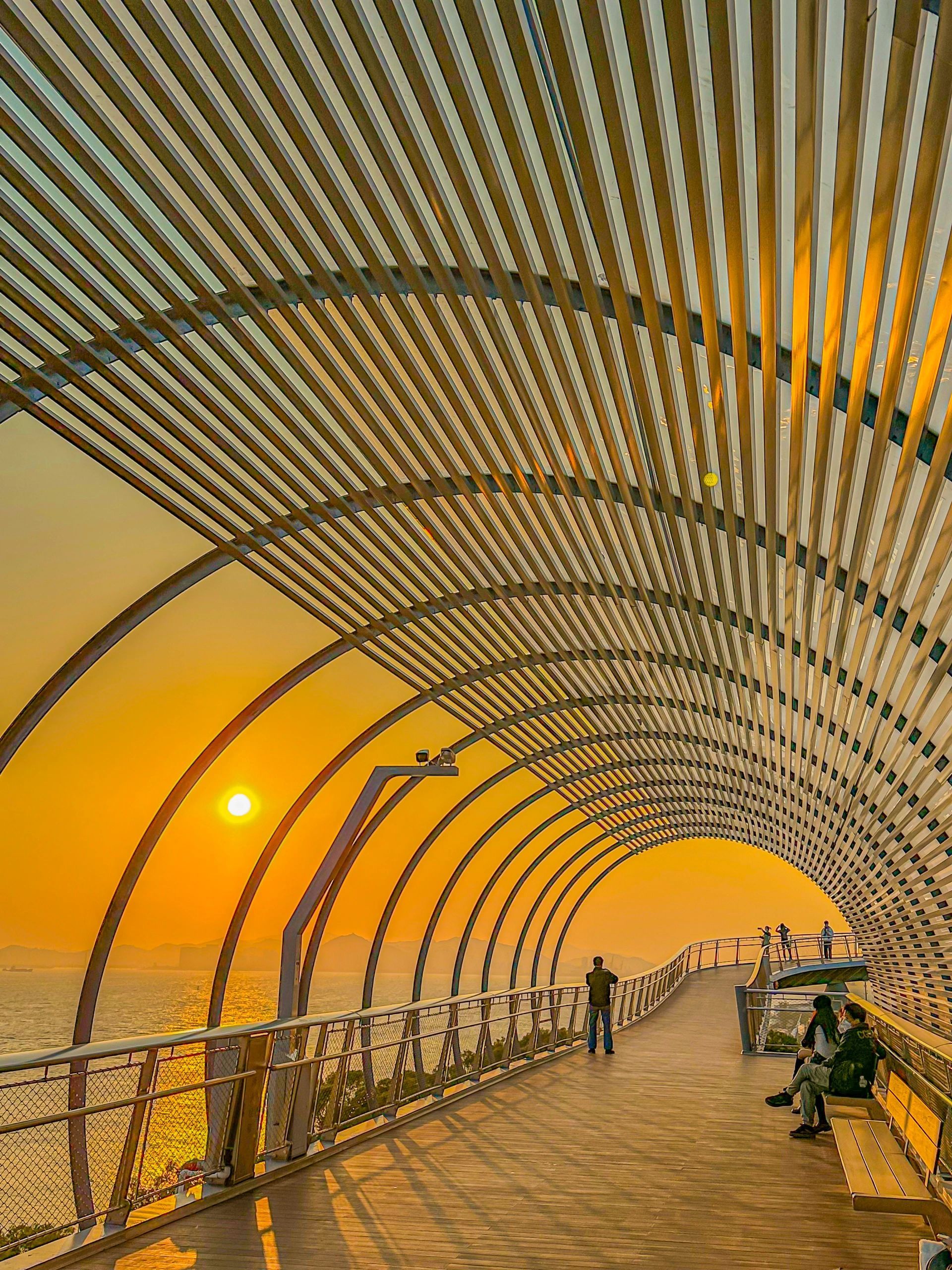 厦门旅游十大防坑建议,去厦门一定要去的地方时间安排