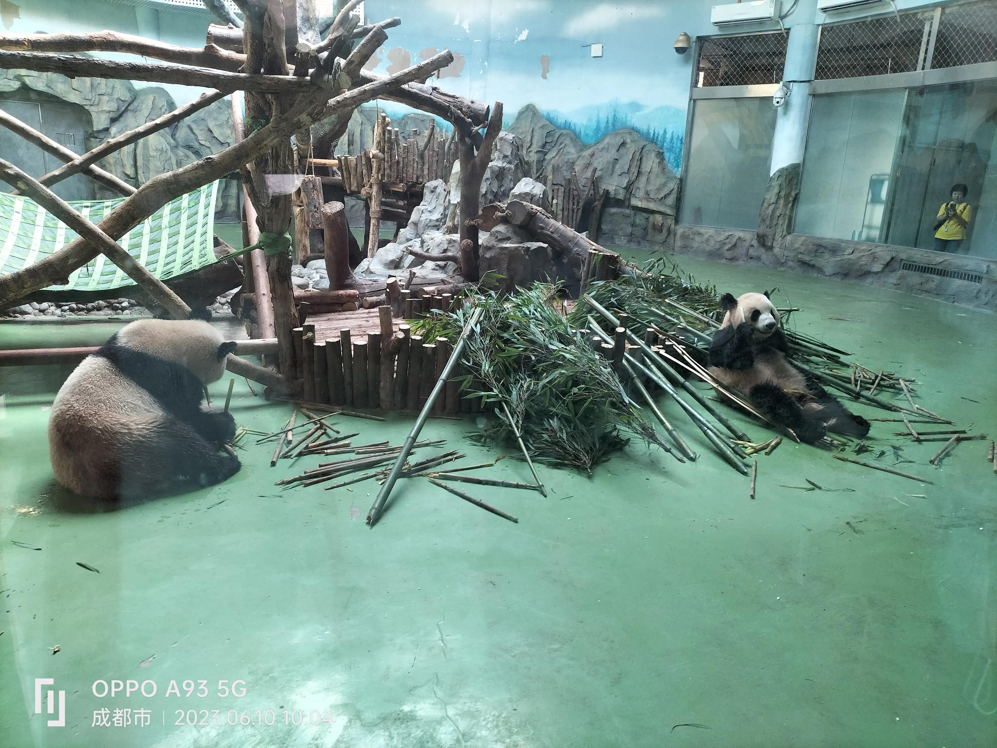 泰康养老首个养老社区,太平洋养老社区和泰康养老社区