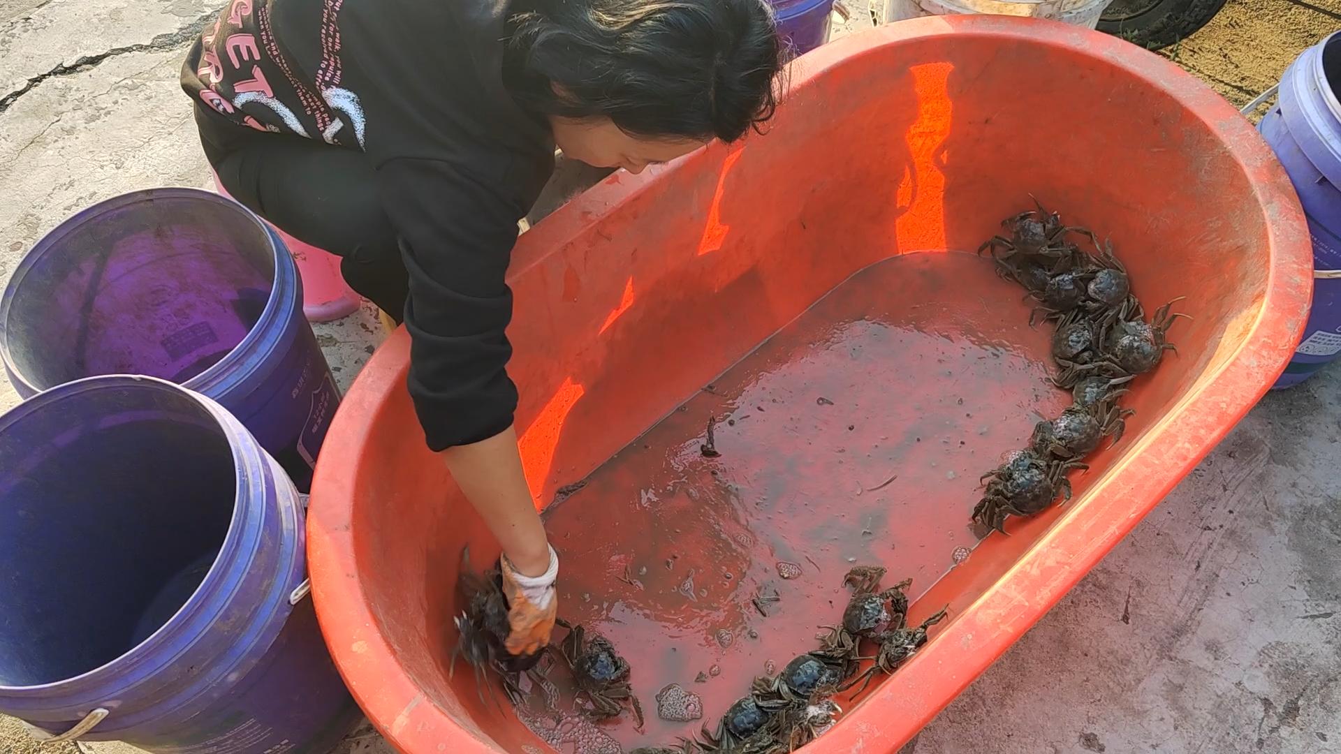 盘锦红海滩三角洲入口,沈阳自驾盘锦红海滩