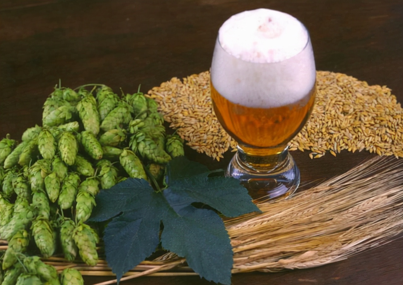 为啥不建议年轻人做胃镜,年轻人胃不舒服有必要做胃镜吗