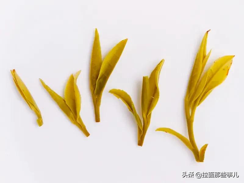 买茶时该如何挑选茶叶,买茶叶技巧视频教程