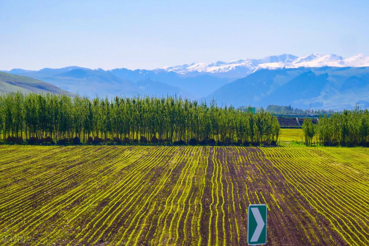 农民的土地补贴多少钱一亩,种地土地补贴政策