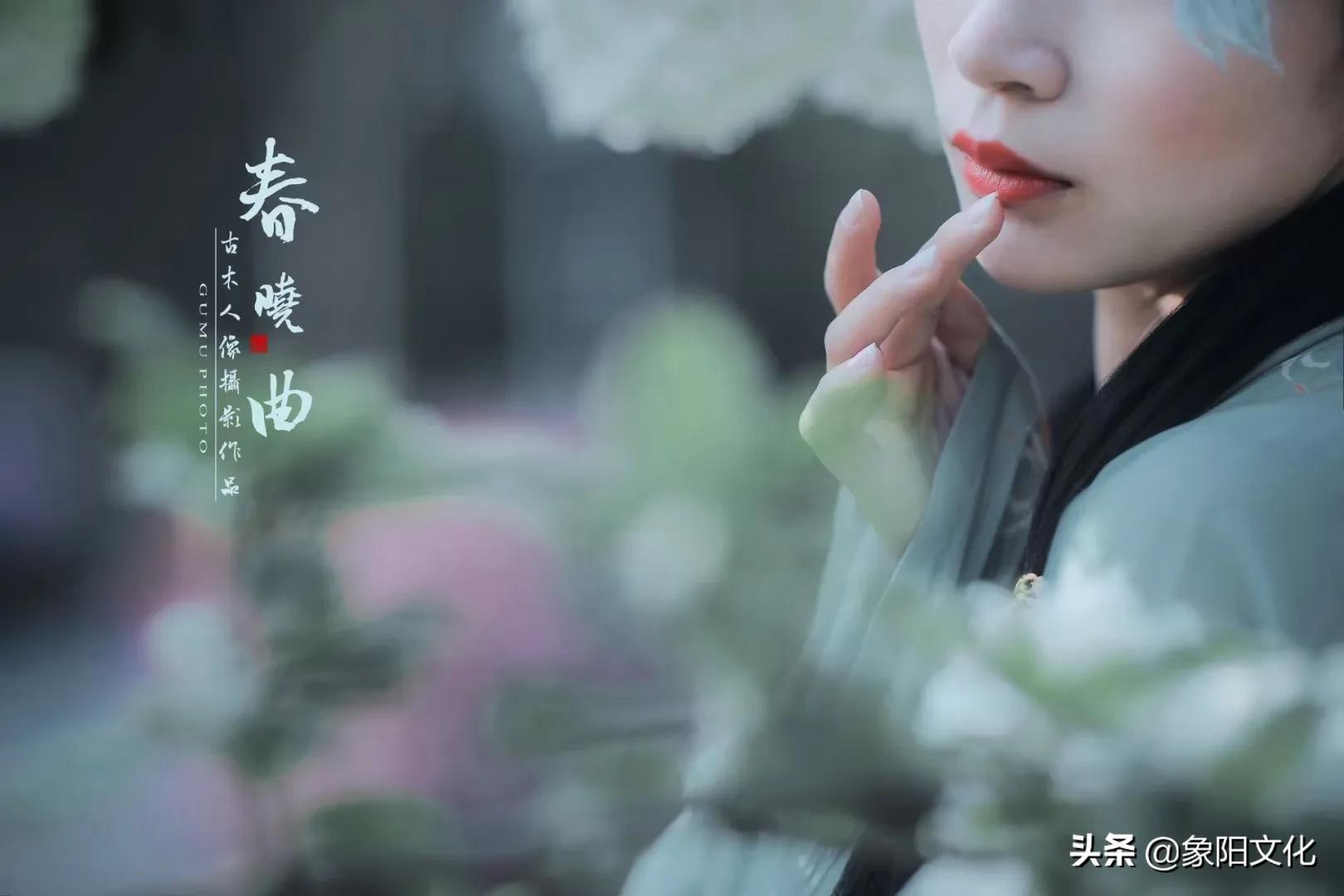 诗词摄影鉴赏,摄影古诗欣赏