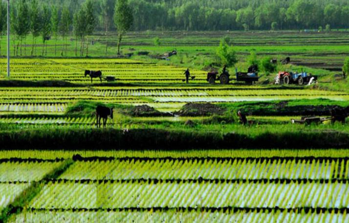 农民工资2万多一年吗,农民工资2300元