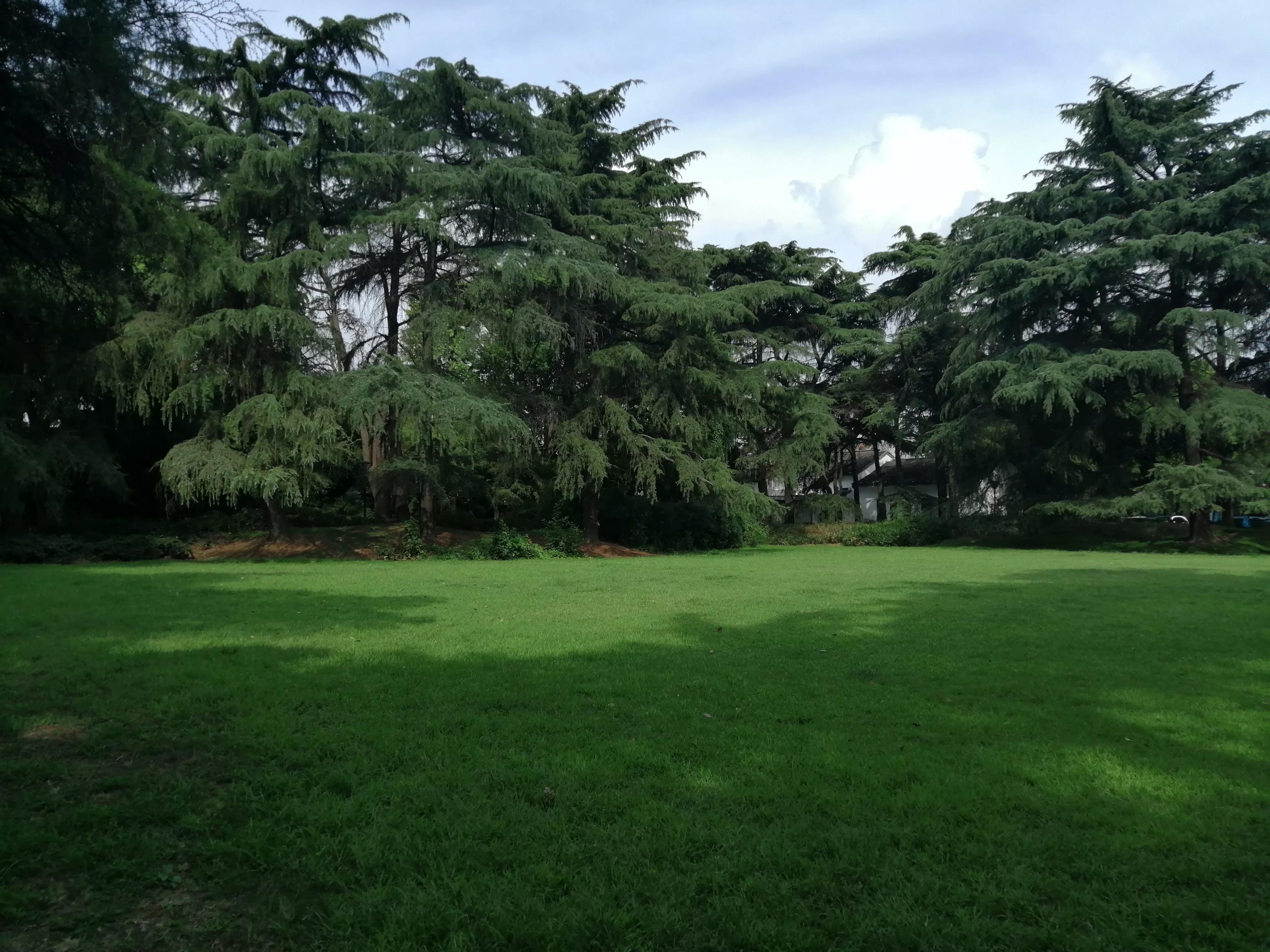 东园好玩的景点推荐,东园旅游景点推荐