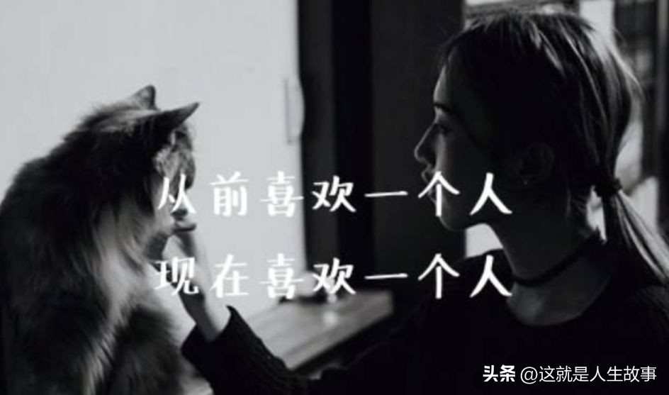 粉丝追星语录,追星始于颜值陷于才华忠于人品