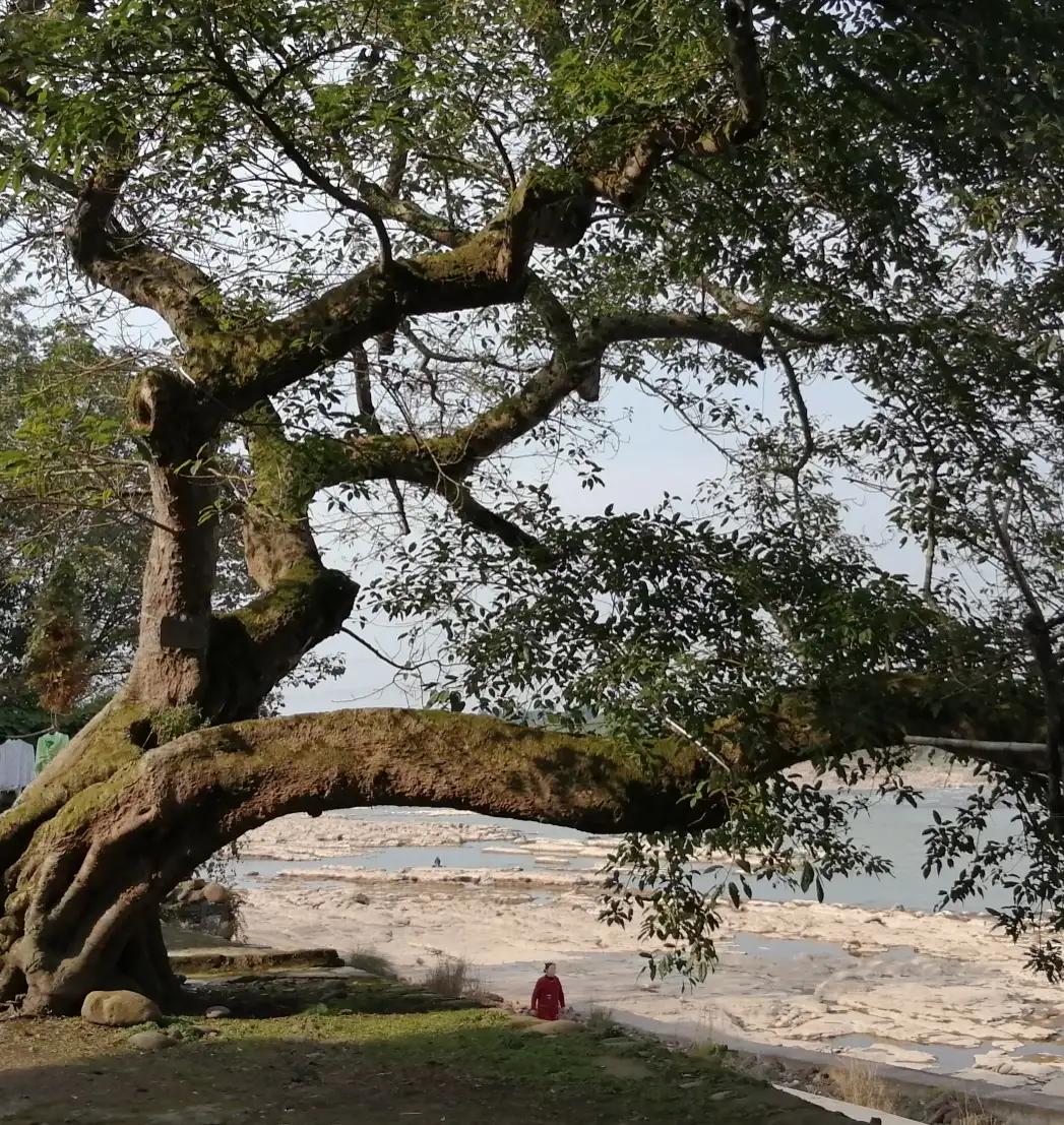 三昧水忏女声读诵上中下,三昧水忏唱诵