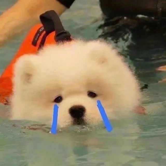 2020年新生宝宝爆款名字公布,广州2021新生儿爆款名字