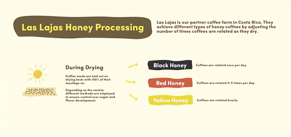 学习制作咖啡技术去哪里,咖啡的制作和种类