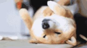 高考志愿先选专业还是先选学校,2022年高考适合选什么专业