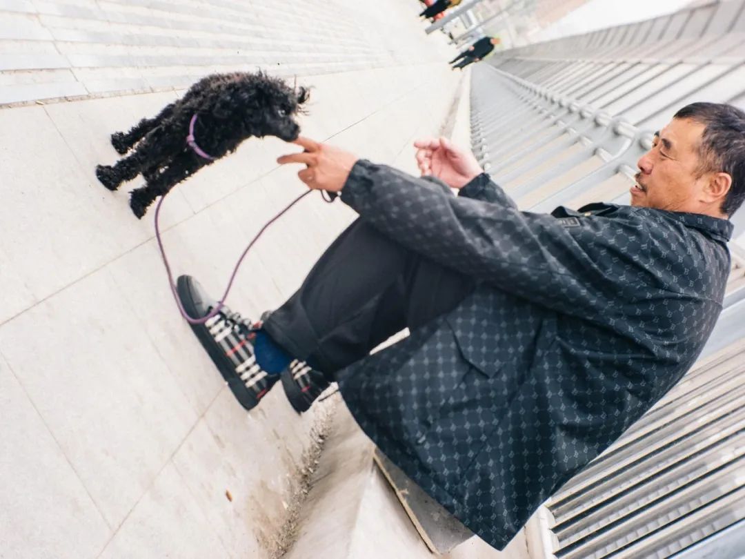 宠物市场的底层逻辑,关于宠物市场的市场分析